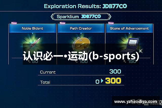 认识必一·运动(b-sports)